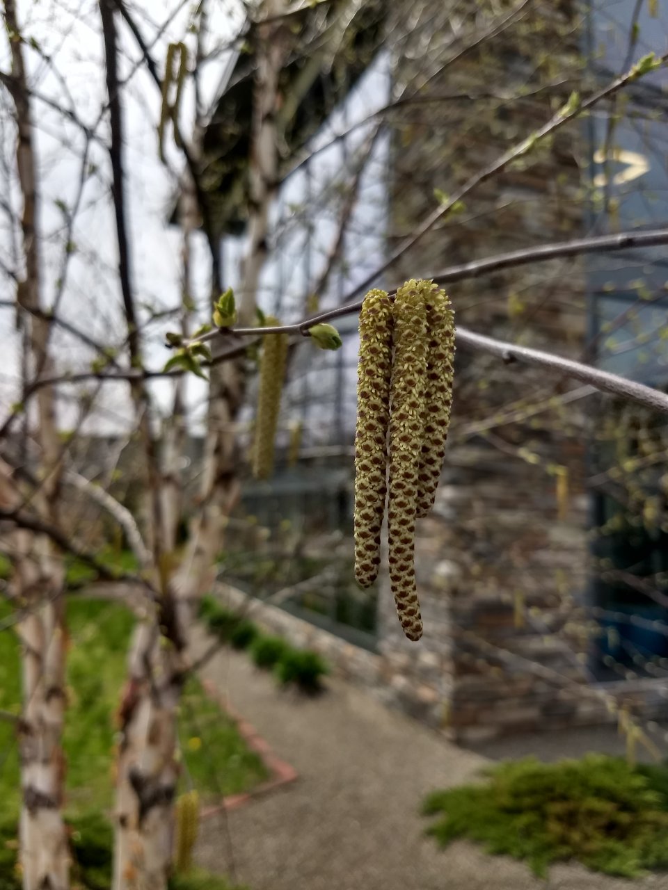 IMG_20180506_145732822_HDR.jpg