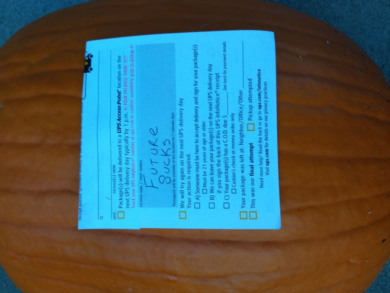 IMG_20181030_182428117.jpg