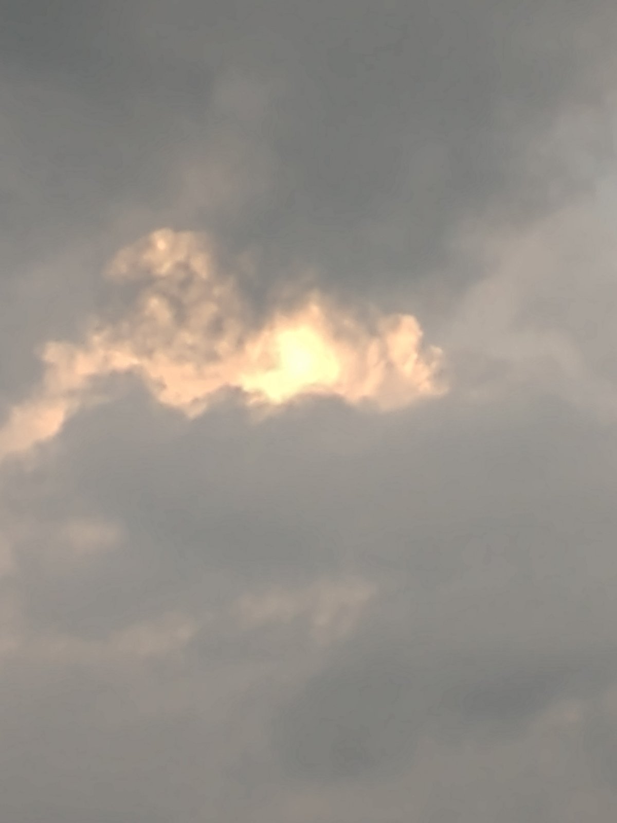 IMG_20190629_202846477.jpg