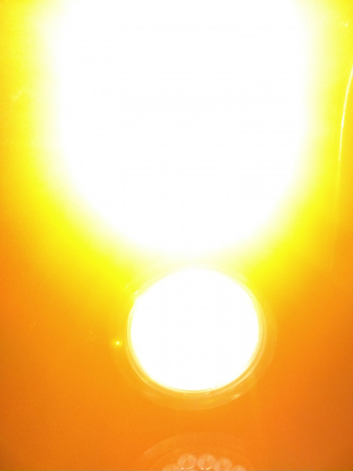 IMG_20191209_165549278.jpg