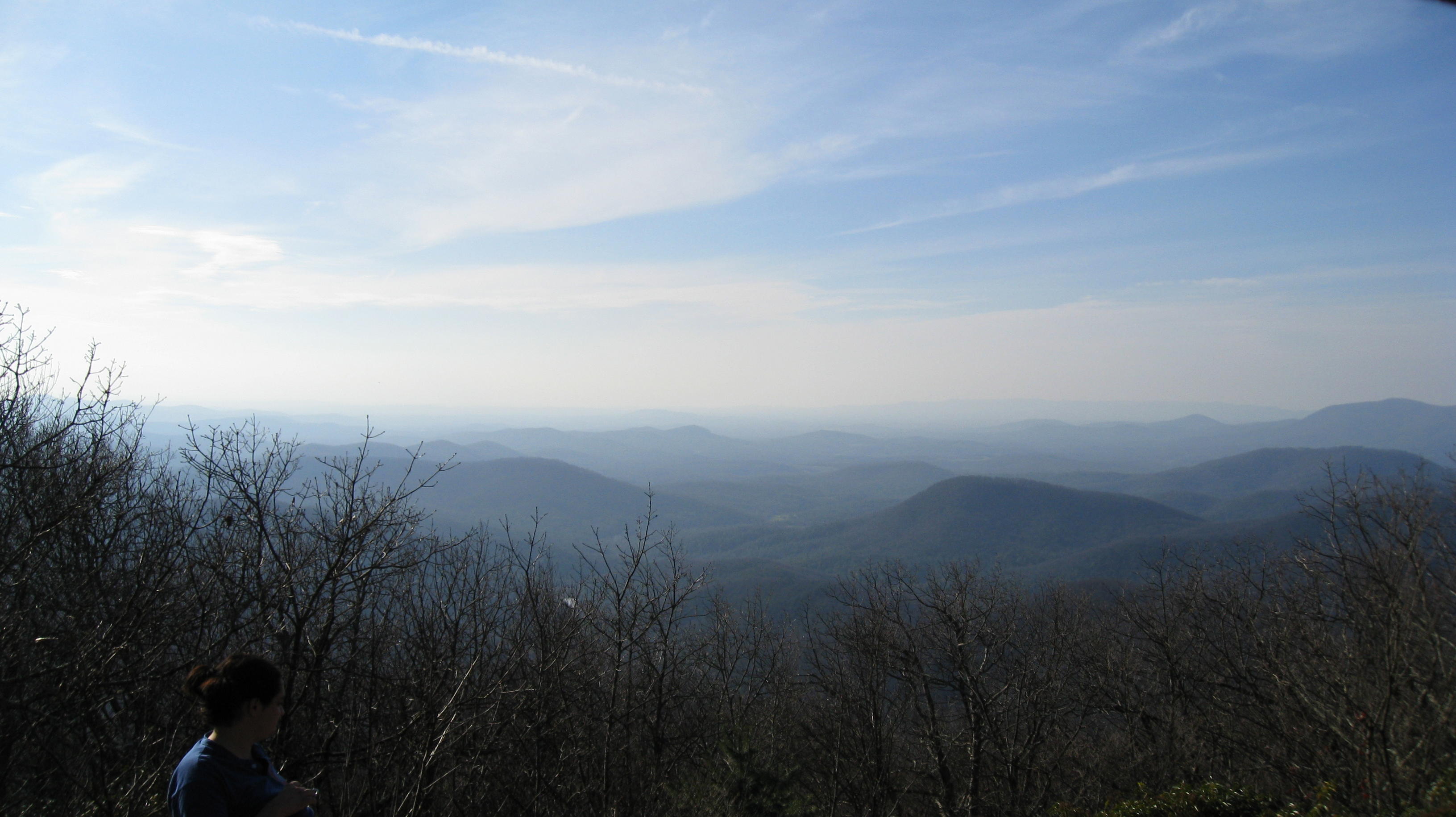 IMG_2135.jpg