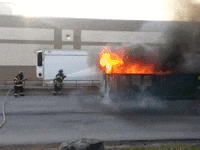 IMG_2206.GIF