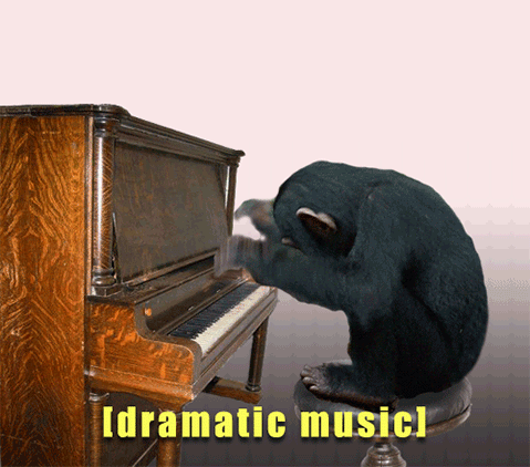 IMG_2311.GIF