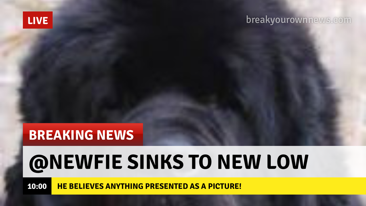 IMG_2331.PNG