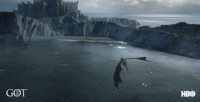 IMG_2393.GIF