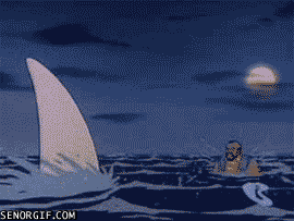 IMG_2613.GIF