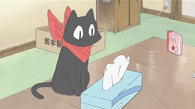 IMG_2646.GIF