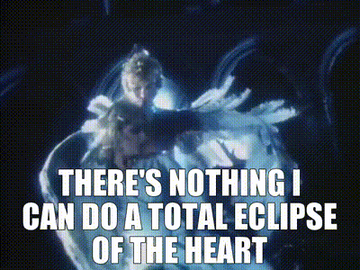 IMG_3884.gif