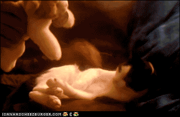 IMG_3993.GIF