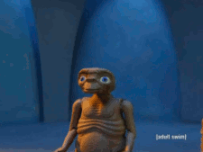 IMG_4223.GIF