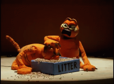 IMG_4225.GIF