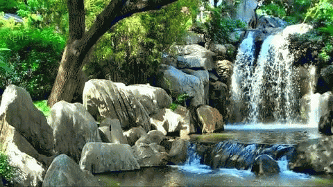IMG_4236.GIF