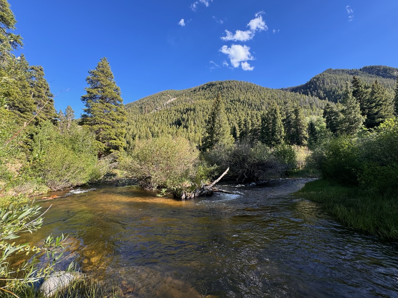 IMG_4665.jpg