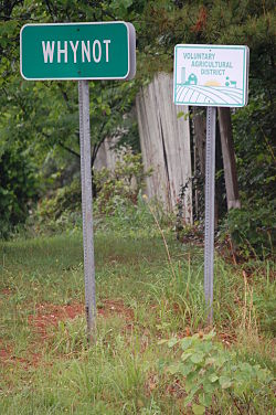 IMG_4759.JPG