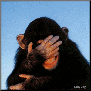 IMG_4964.GIF