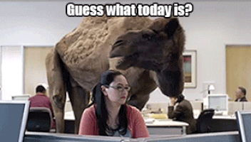 IMG_5479.GIF