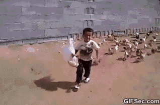 IMG_6499.GIF