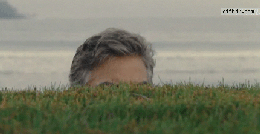 IMG_6732.GIF