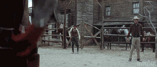 IMG_6876.gif
