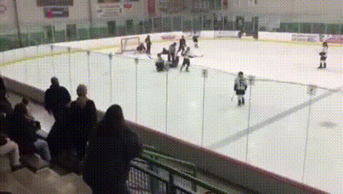 IMG_7052.GIF