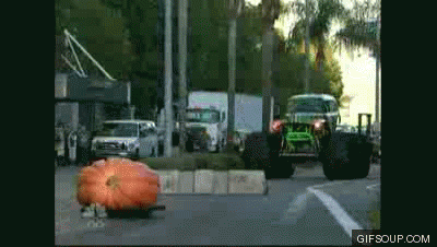IMG_7515.GIF