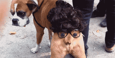 IMG_7516.GIF