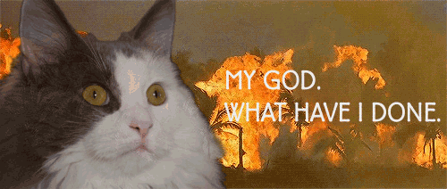 IMG_7575.GIF