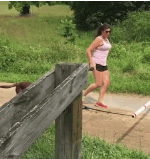 IMG_8459.gif