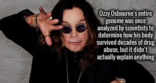 Impress-Your-Friends-And-Family-With-These-Interesting-Facts-04.jpg
