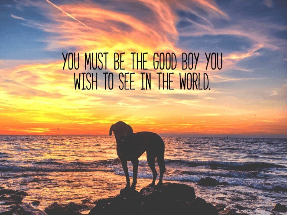 inspirational-quotes-for-dogs-0.jpg