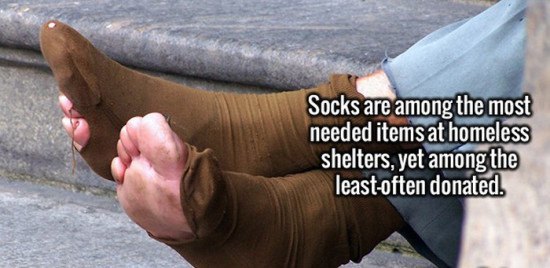Interesting-Facts-01-550x268.jpg