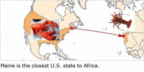 Interesting-Facts-151.jpg