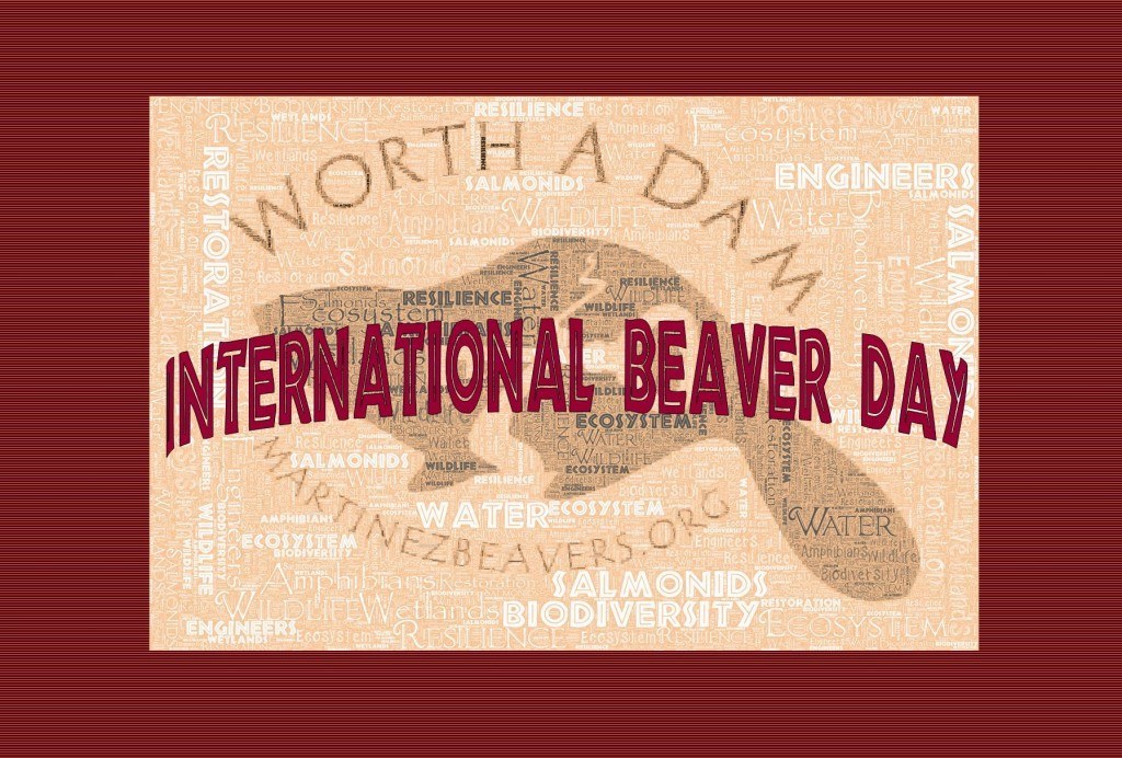 International-Beaver-Day.jpg