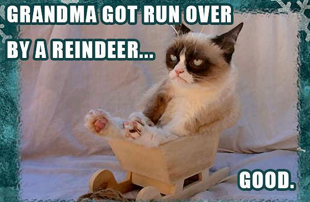 Internet-Meme-Grumpy-Cat-13.jpg