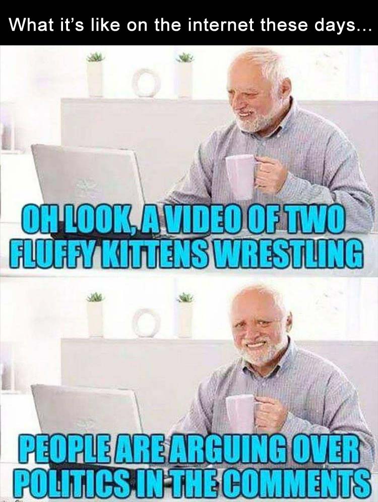internet-these-days.jpg