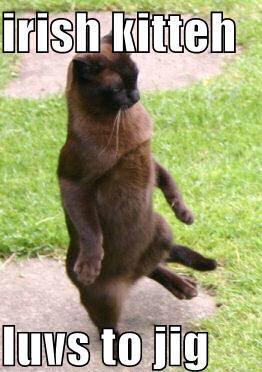 irish-kitteh-luvs-to-jig.jpg