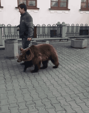 IrjJew.gif