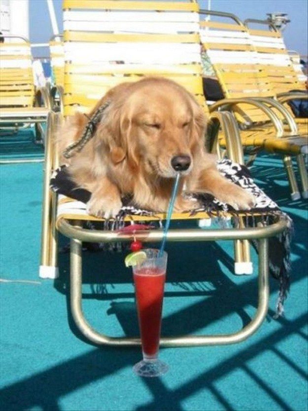 It\'s Summer Time 017.jpg