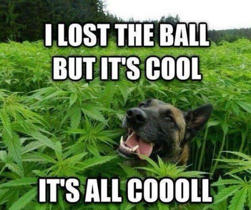 its all cool.jpg