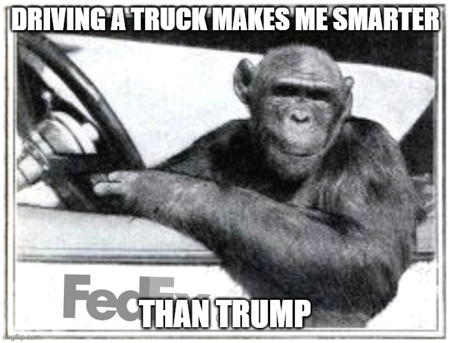 itty driving a fdx truck.jpg