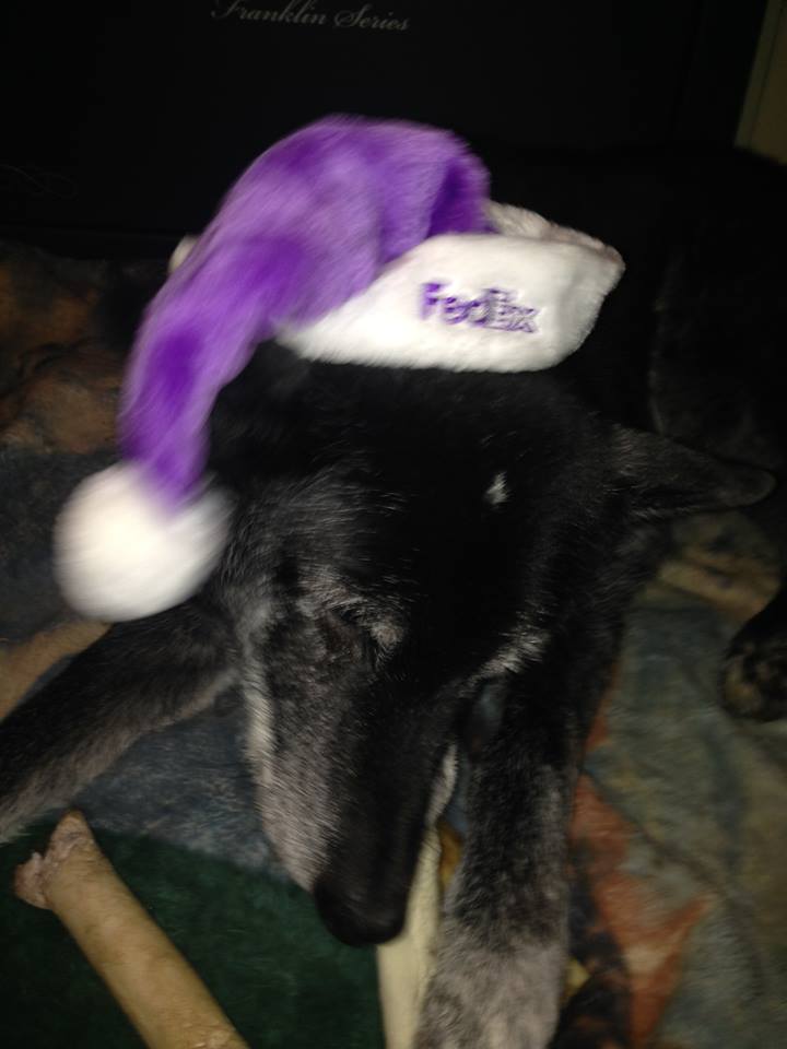 jackhatbone.jpg