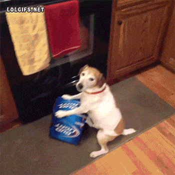 jb.gif
