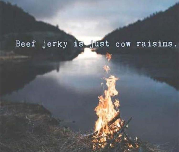 jerky.jpg