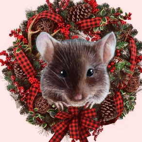 Jingles Wreath Christmas.jpg