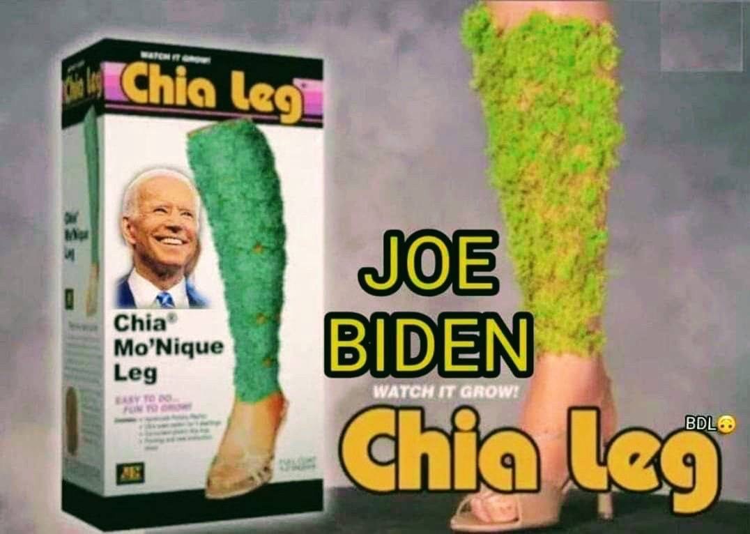 Joe_Biden_Chia_Legs.jpg