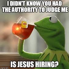 judge.jpg
