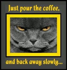 just pour the coffee.jpg
