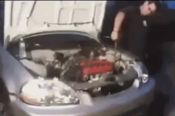 just-stop-17-gifs-26.gif