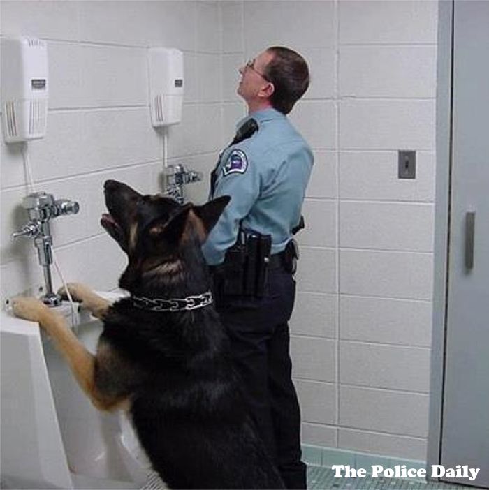 K9 bathroom.jpg