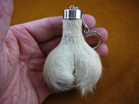 kangscrot.jpg
